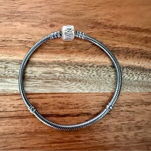 Pandora charm bracelet